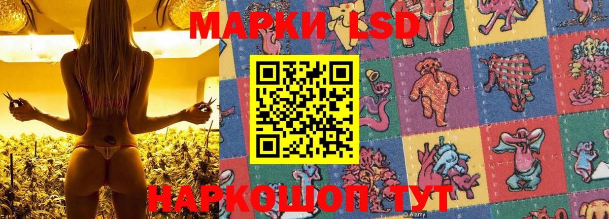Марки N-bome 1,5мг  Вход с VPN  Мичуринск 