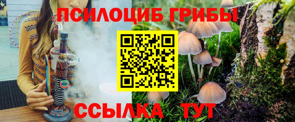 Галлюциногенные грибы Psilocybe Мичуринск