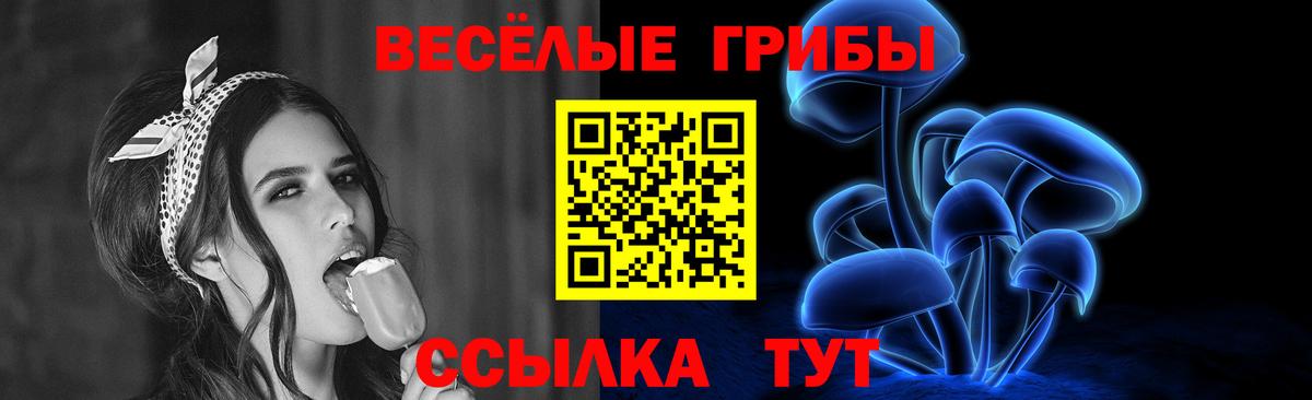 Псилоцибиновые грибы Cubensis  Вход с VPN  Мичуринск 